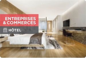 hotel vendre BLOIS -  41000  BLOIS 359 m2 UBI464024882